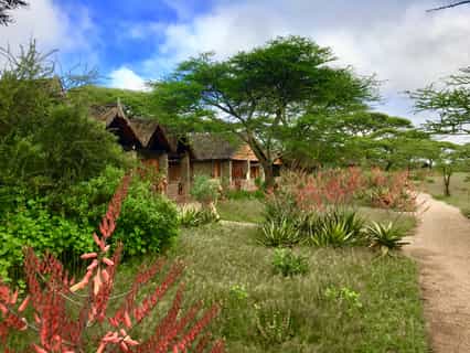 All of the cottages have a private veranda overlooking the natural unfenced landscape of indigenous trees and shrubs outside your cottage door ensuring you are never far from the host of birds and mammals who call the Ndutu area home. The cottages extend from a warm and welcoming central dining, seating and bar or ‘mess’ area which has long been a gathering place for friends old and new.