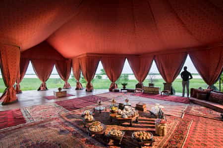 Tea Tent 