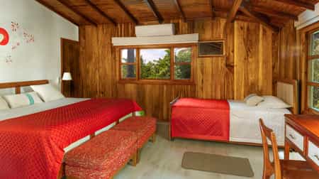 Suites rooms have king size bed