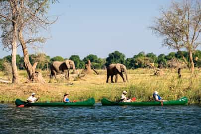 Go on a canoe safari down the Zambezi, Mana Pools