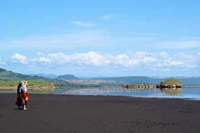 Region image