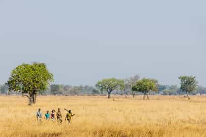 Region image