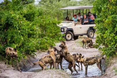 Game Drive