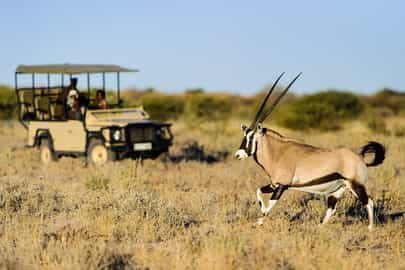 Game Drive