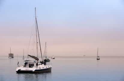 Catamaran cruise