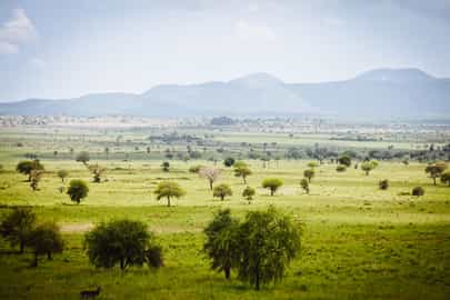 Region image