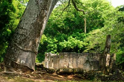 Gede ruins