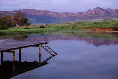 Region image