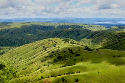Region image