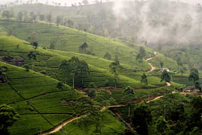 Region image
