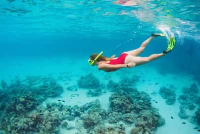 Snorkelling