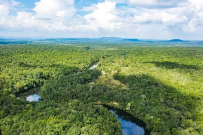 Region image