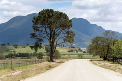 Region image