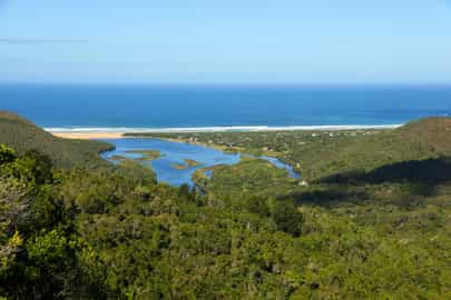 Region image