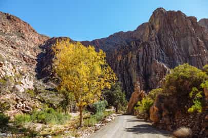 Region image