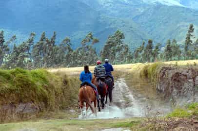 Horseback riding