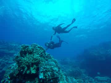 Explore the underwater world out scuba diving