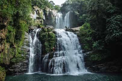 Jungle Bathing