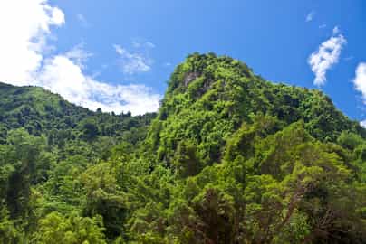 Head out on a hike in Muang La