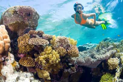 Snorkel along Anjajavy Reserve's coral outcrops