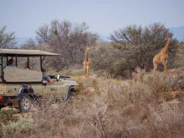 Game drive