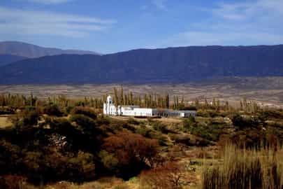 Region image