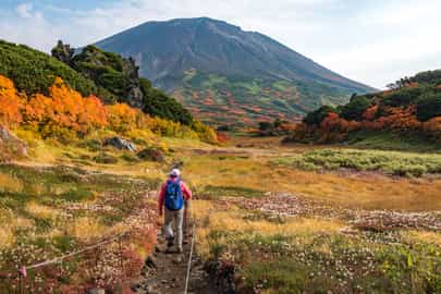Take a hike on the picturesque Mount Asahi