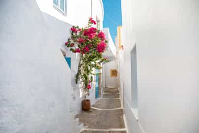 Region image
