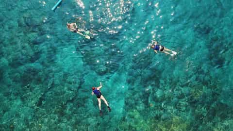 Go snorkeling off Menjangan Island
