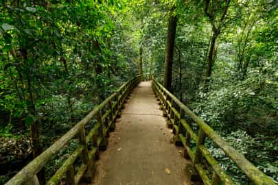 Cuc Phuong National Park Endangered Primate Reserve