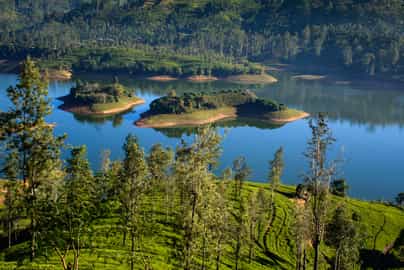 Go kayaking on the picturesque Castlereagh Lake