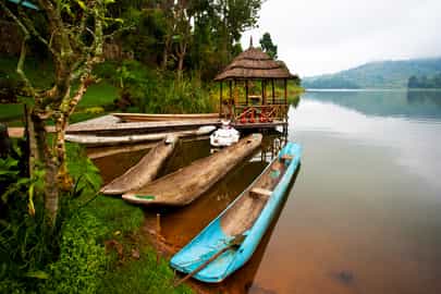 Region image