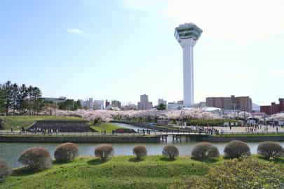 Go on an Afternoon tour of Onuma