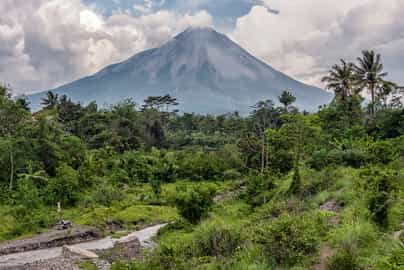 Region image