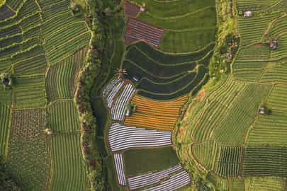 Region image