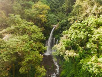 Region image