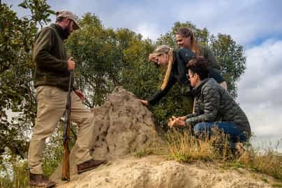 Discover the Sabi Sands on a guided walk