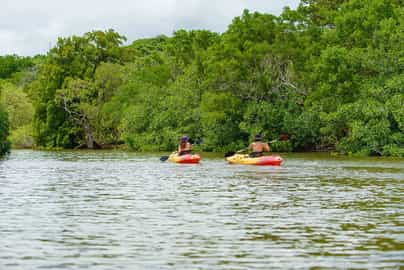 Kayaking at Morgan's Rock