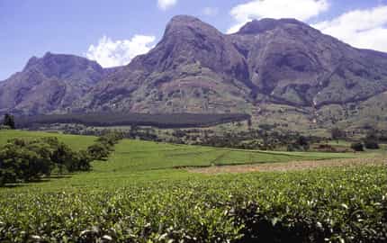 Region image