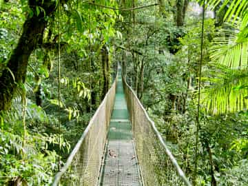 Region image