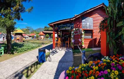 Region image