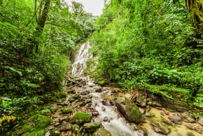 Explore local highlights of Valle de Anton