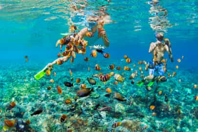 Snorkel the coral reefs of the Phu Yen Peninsula