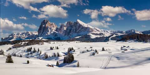Region image