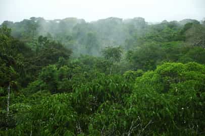 Region image