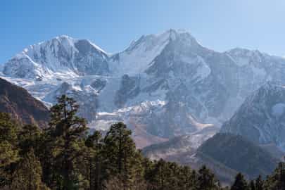 Region image
