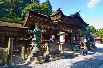 Region image