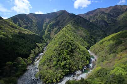 Region image