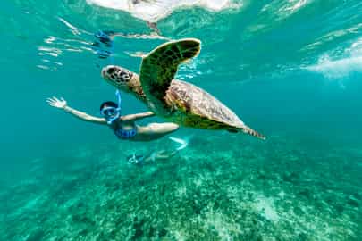 Snorkel with sea turtles in the Miyako Islands