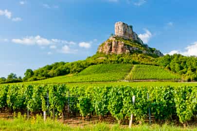 Spend a day in the vineyards of Burgundy